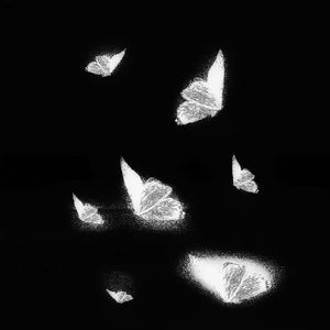 伊人网在线视频
