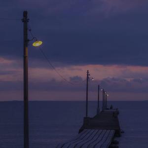 伊人网在线视频
