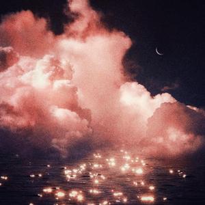 伊人网在线视频
